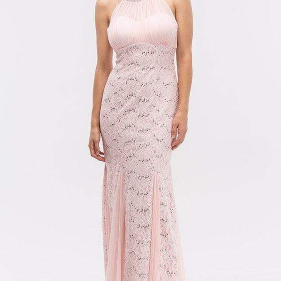 Chic Blush Lace Maxi Dress - Picture 1 of 13